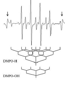 Splitting scheme DMPO.PNG